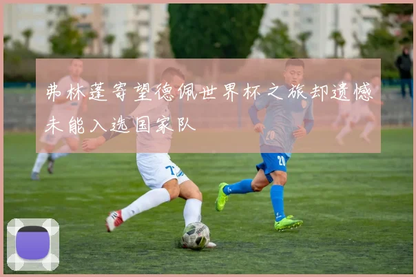 弗林蓬寄望德佩世界杯之旅却遗憾未能入选国家队